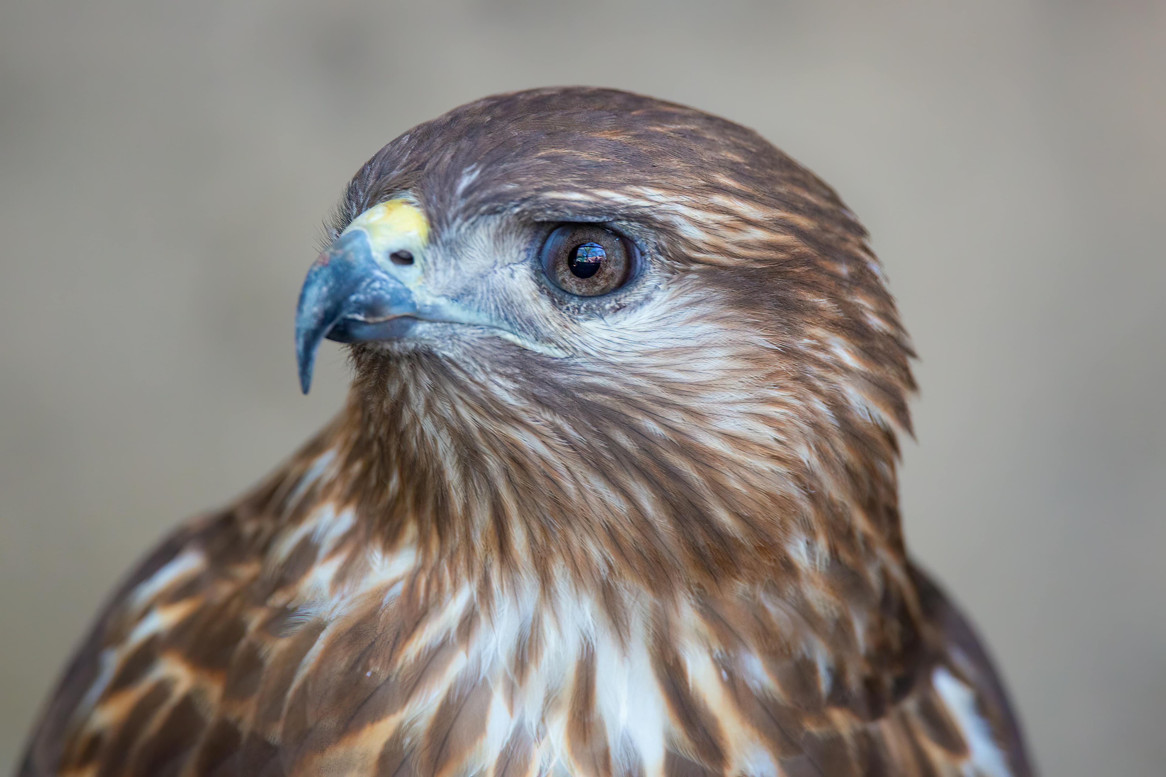 Close-up of a person's eye experiencing twitching