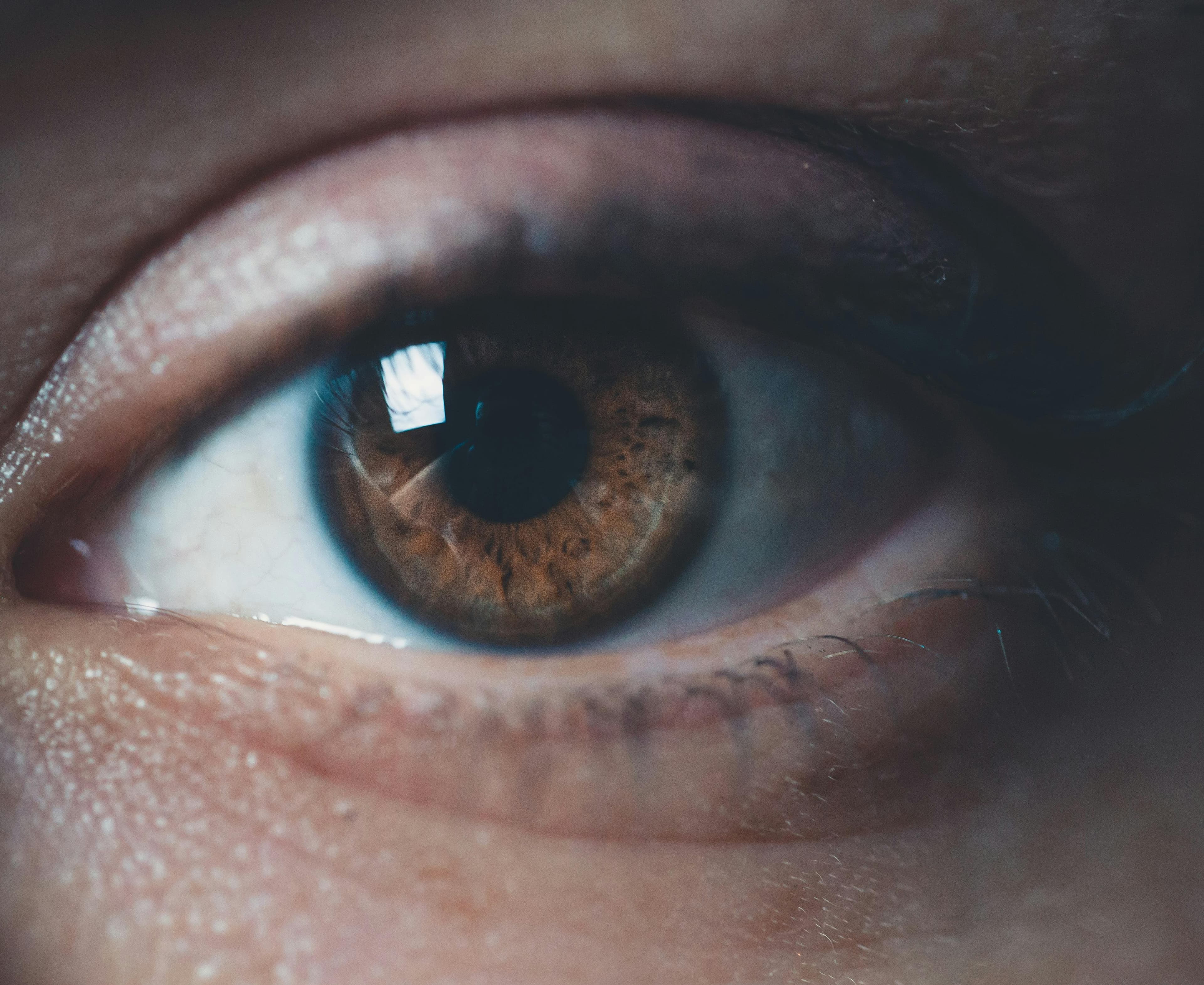 Diagram of eye anatomy highlighting retina and blood vessels