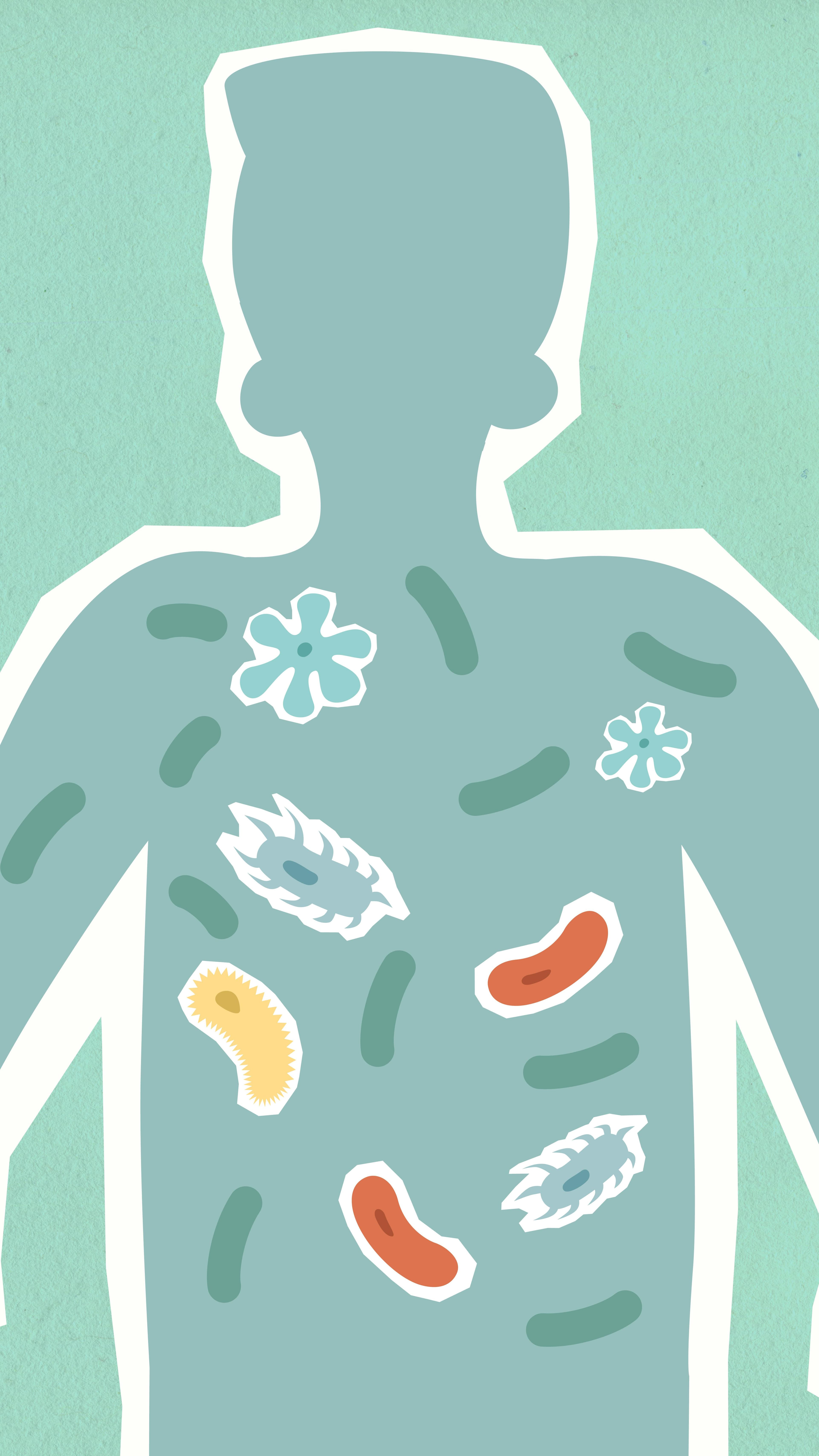 Illustration of gut microbiome affected by antibiotics