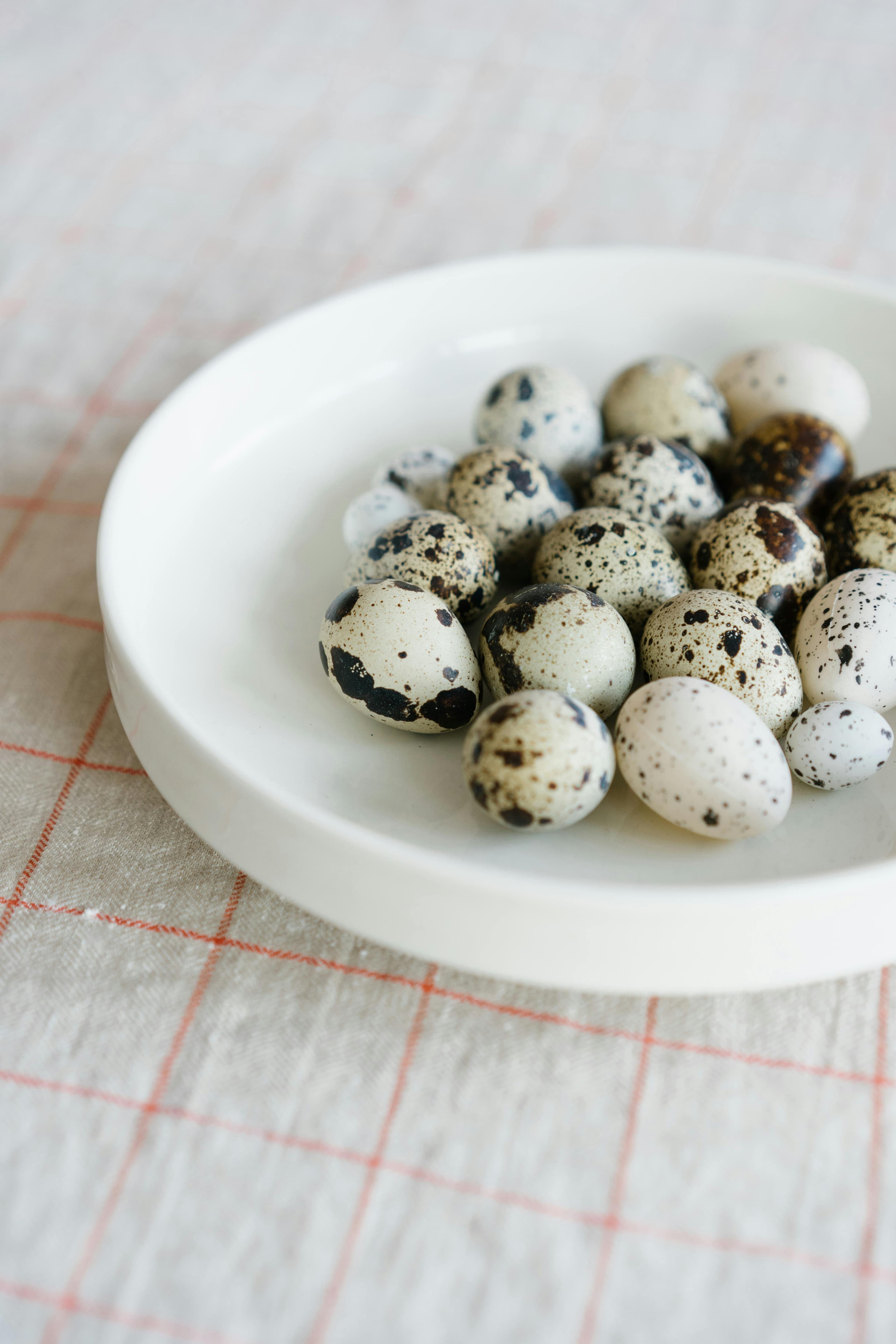 A balanced plate with small portions of easily digestible foods