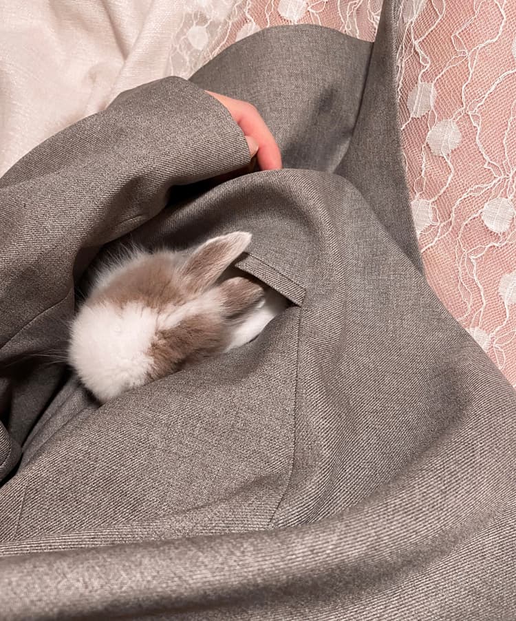 Rabbit Ears on ECG: Understanding the Unique Cardiac Patterns in ...