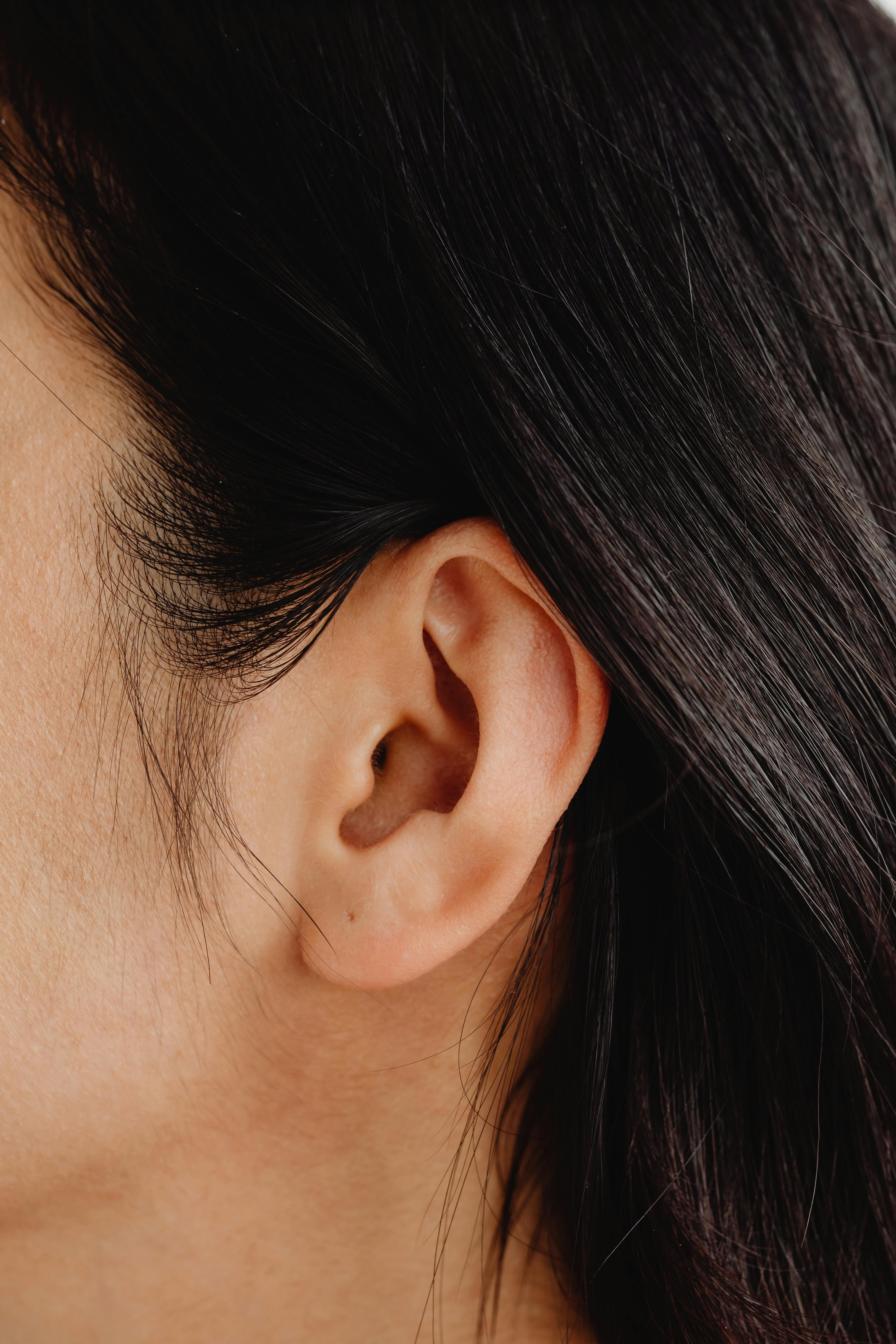 Diagram of ear anatomy showing the Eustachian tube and middle ear