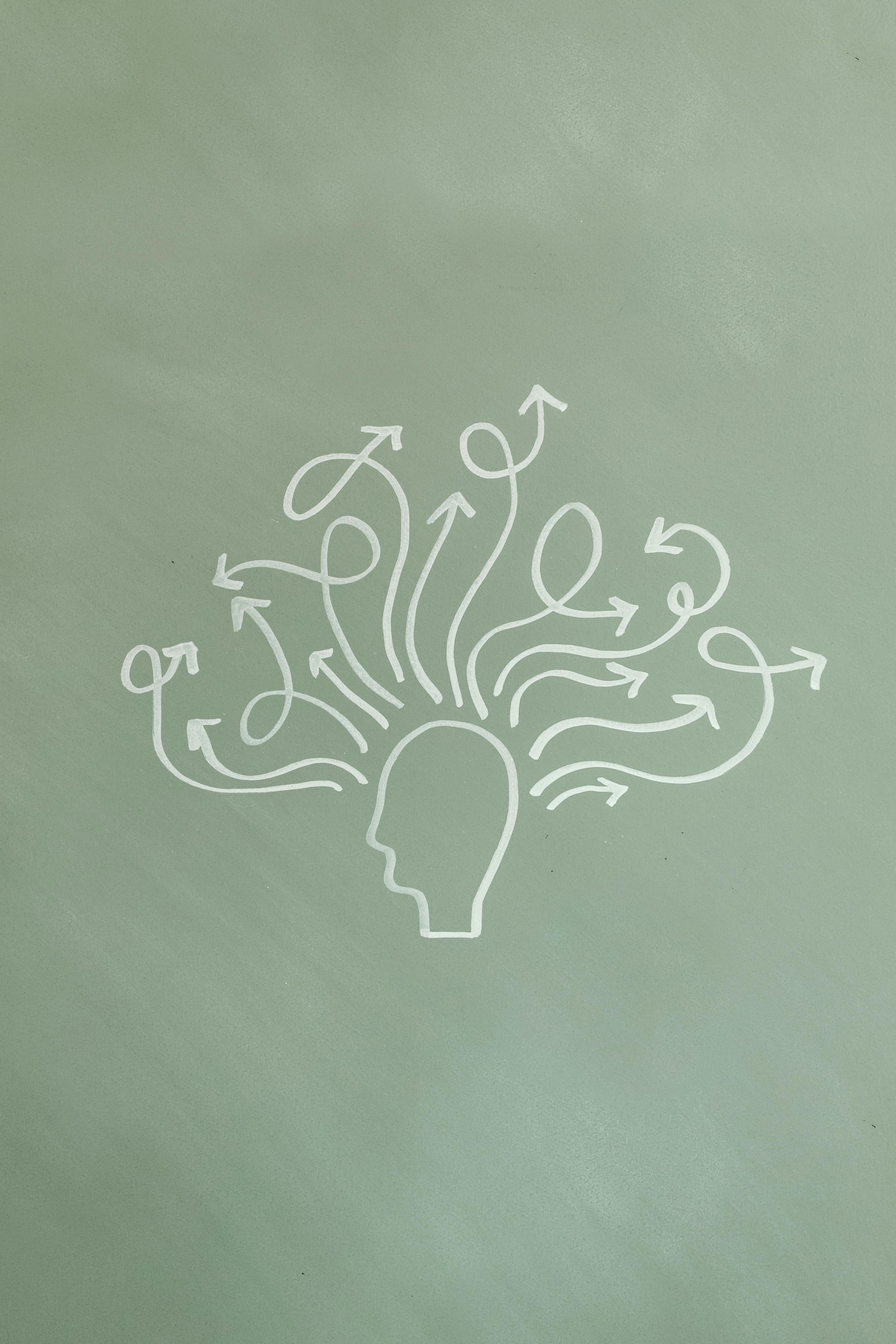 Illustration of brain regions involved in memory processes